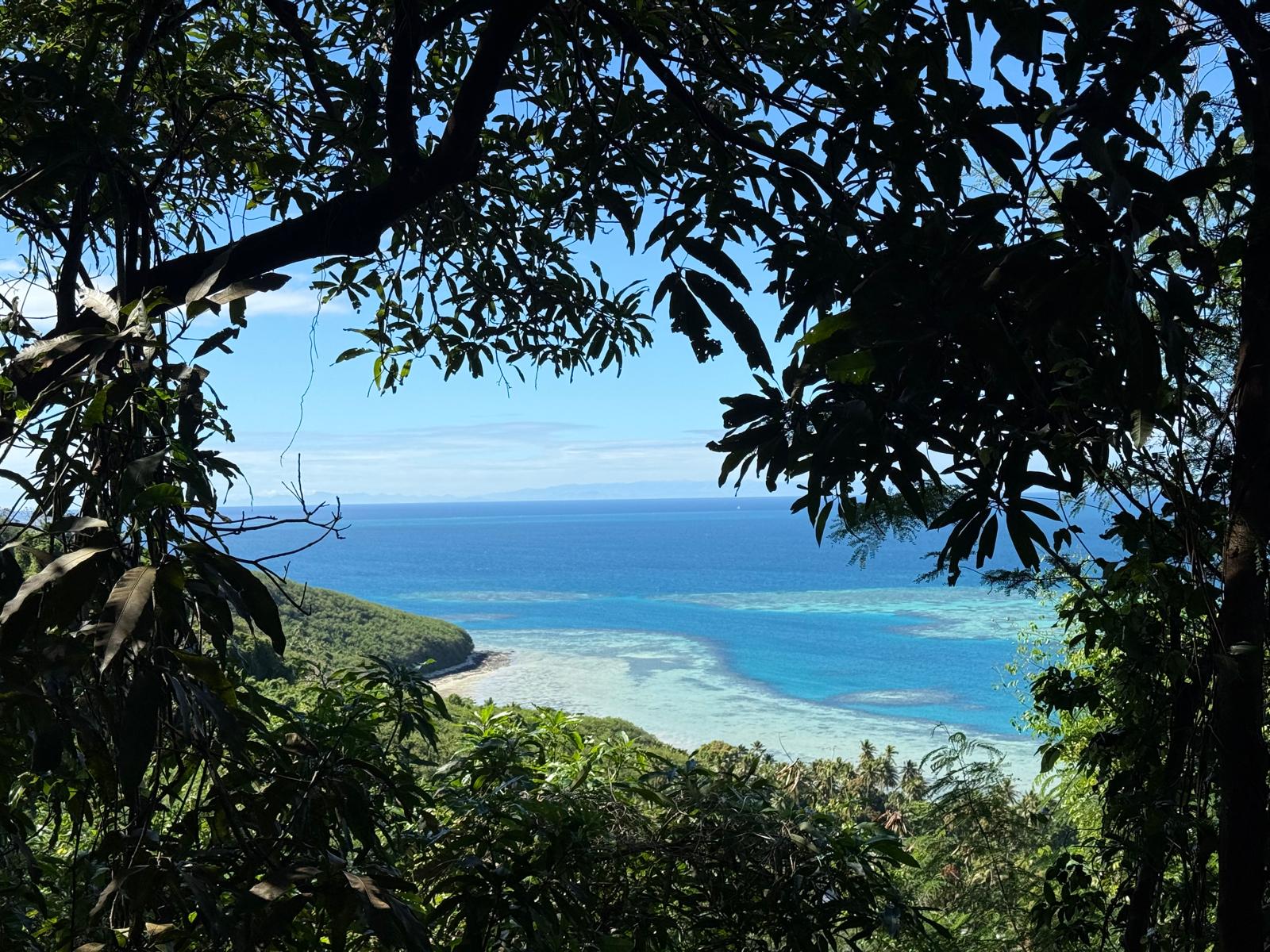 🇫🇯️ The Yasawa islands images/2025/yas/m2.jpg