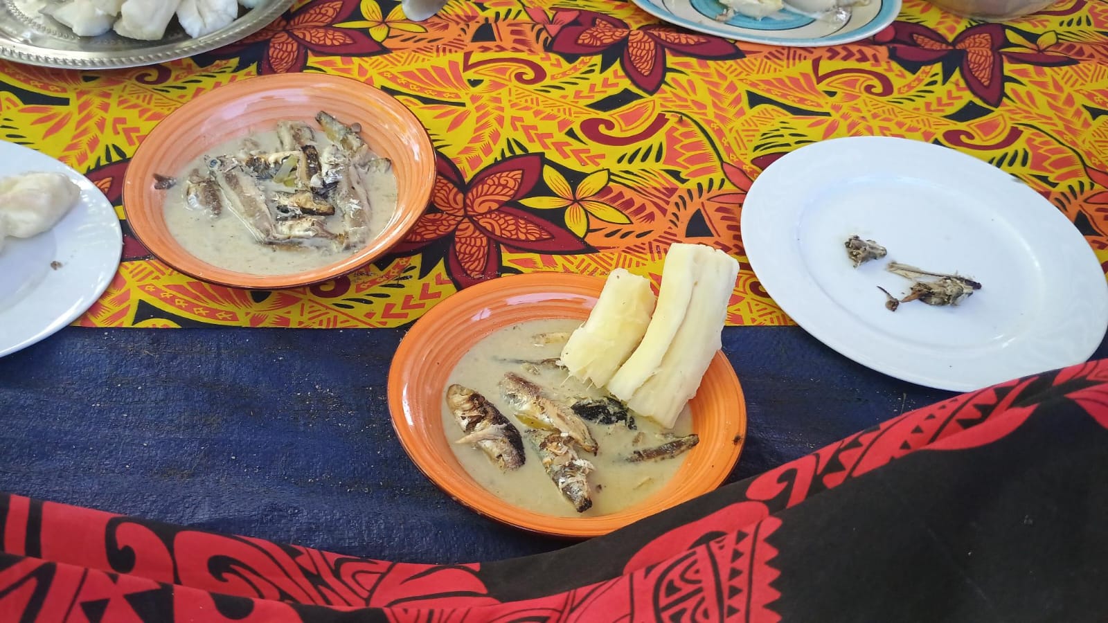 🇫🇯️ The Yasawa islands images/2025/yas/s3.jpg