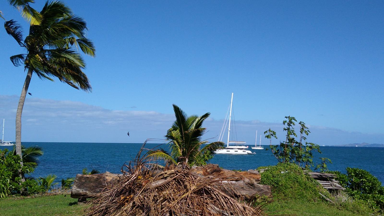  🇫🇯️ Lautoka and the Lau islands images/2026/lalau/vud.jpg