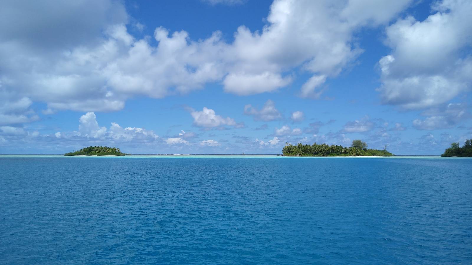  🇵🇬 Papua New Guinea images/2026/png/motus.jpg