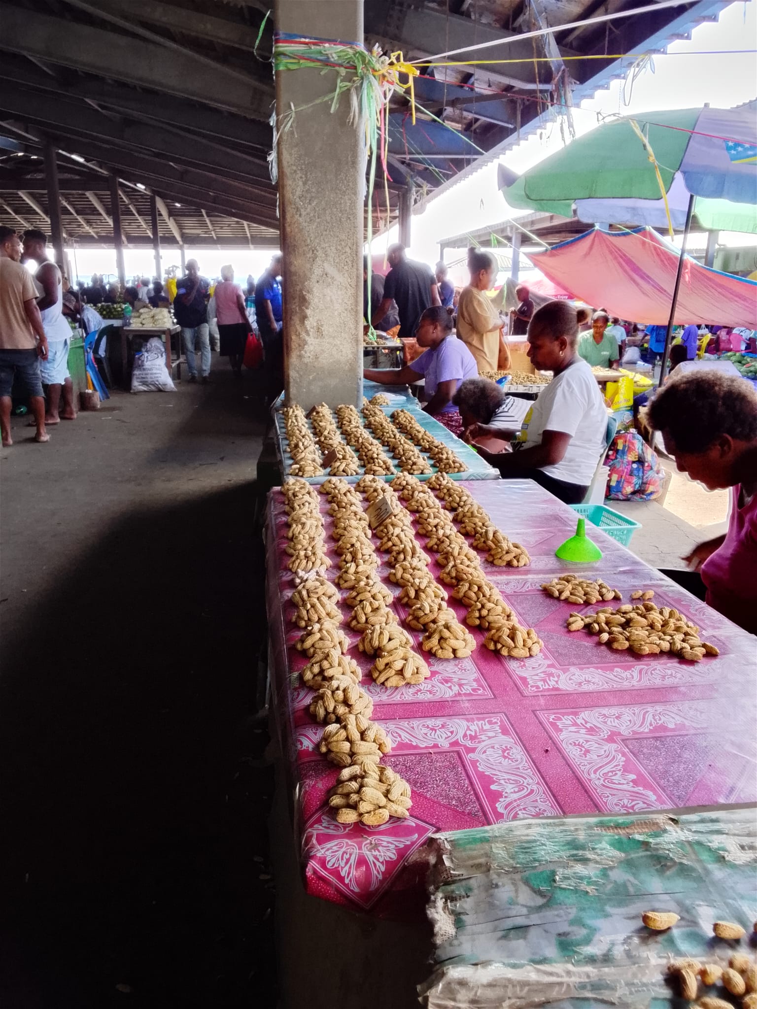  🇫🇯️ And back to Fiji, again! images/2026/tofiji/bukam1.jpg