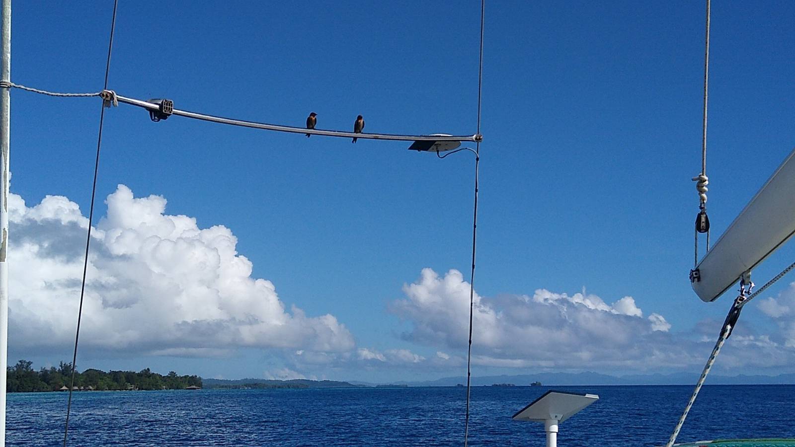  🇫🇯️ And back to Fiji, again! images/2026/tofiji/fatboys.jpg