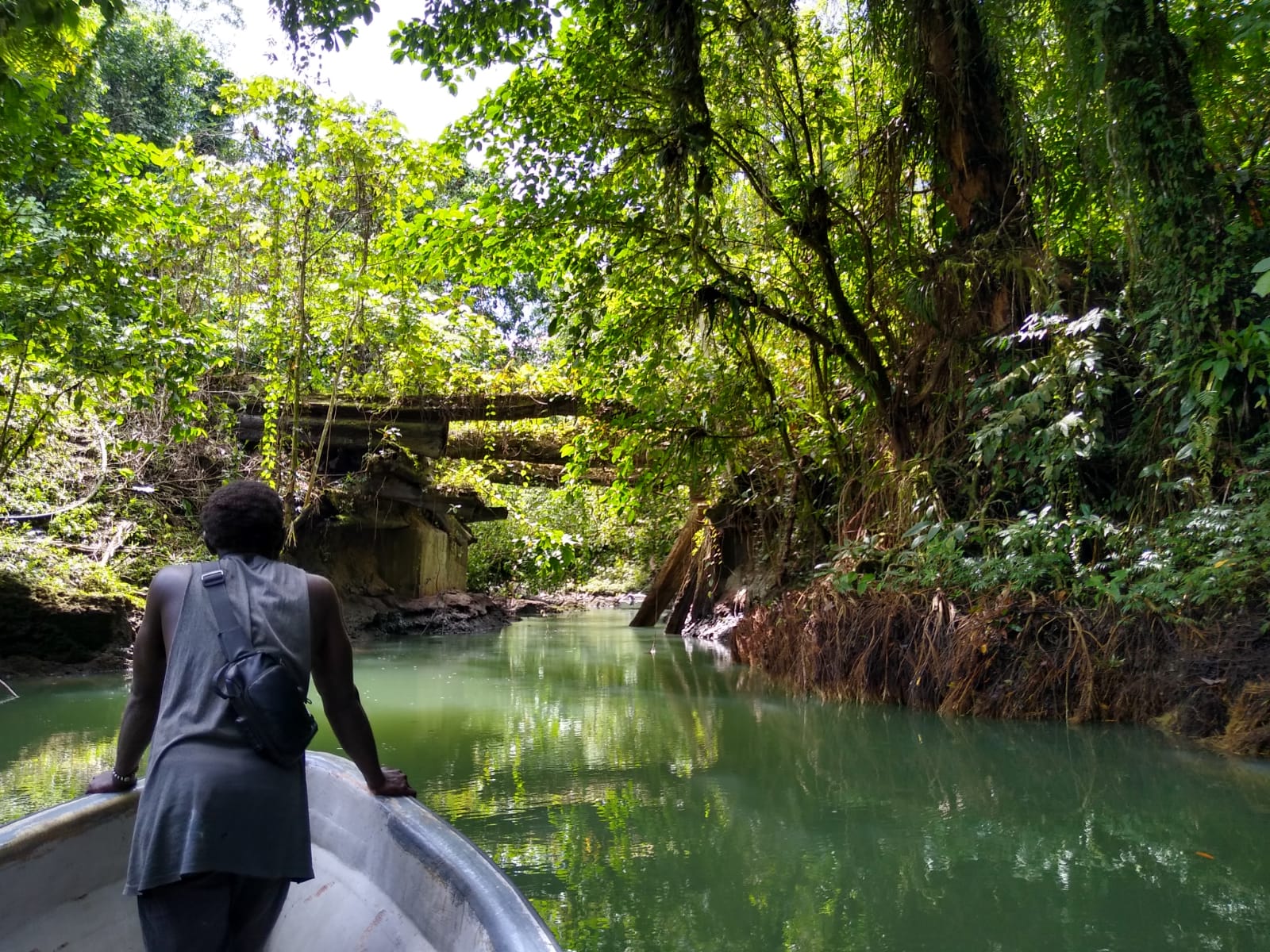  🇫🇯️ And back to Fiji, again! images/2026/tofiji/riv2.jpg