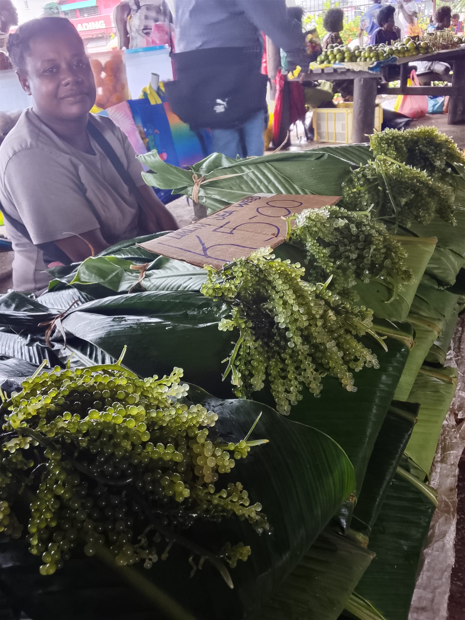  🇫🇯️ And back to Fiji, again! images/2026/tofiji/sea.jpg