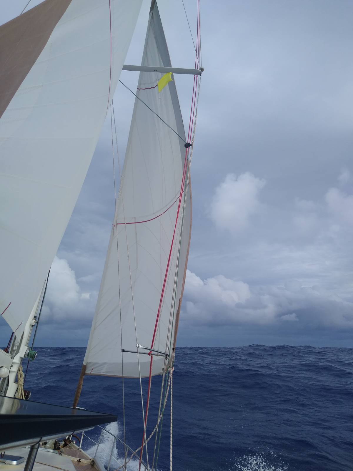  🇫🇯️ And back to Fiji, again! images/2026/tofiji/tear.jpg